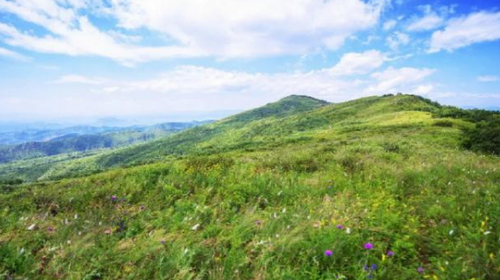 【北京一周一山·大黑峰】早鸟优惠来袭丨大黑峰：塞外第一峰的绿色浪漫 | 不用去远方，北京周边就有“小海坨”，漫步高山草甸，闯入宫崎骏的夏日画卷~