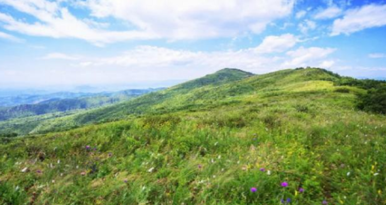 【北京一周一山·大黑峰】早鸟优惠来袭丨大黑峰：塞外第一峰的绿色浪漫 | 不用去远方，北京周边就有“小海坨”，漫步高山草甸，闯入宫崎骏的夏日画卷~