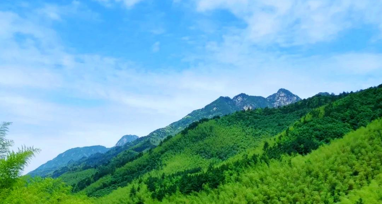 【北京一周一山·九道梁】京郊阿勒泰  | 穿行苍茫山脊 尽览山河壮美 | 云雾抚地游走，野花漫山绽放 | 九道梁亚高山草甸，邂逅云端花海
