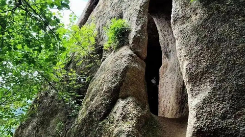 【北京一周一山·九道梁】京郊阿勒泰  | 穿行苍茫山脊 尽览山河壮美 | 云雾抚地游走，野花漫山绽放 | 九道梁亚高山草甸，邂逅云端花海