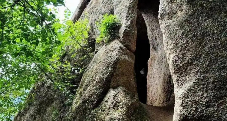 【北京一周一山·九道梁】京郊阿勒泰  | 穿行苍茫山脊 尽览山河壮美 | 云雾抚地游走，野花漫山绽放 | 九道梁亚高山草甸，邂逅云端花海