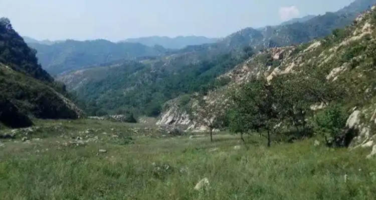 【北京一周一山·易县摩天岭】早鸟优惠来袭丨云端漫步人间仙境易县摩天岭丨风吹云动群山起伏，在云雾缭绕中遇见山野的纯净~