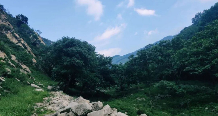 【北京一周一山·易县摩天岭】早鸟优惠来袭丨云端漫步人间仙境易县摩天岭丨风吹云动群山起伏，在云雾缭绕中遇见山野的纯净~