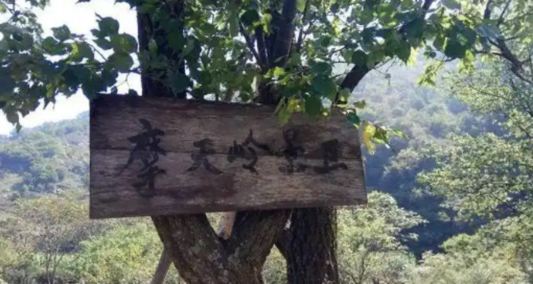 【北京一周一山·易县摩天岭】早鸟优惠来袭丨云端漫步人间仙境易县摩天岭丨风吹云动群山起伏，在云雾缭绕中遇见山野的纯净~