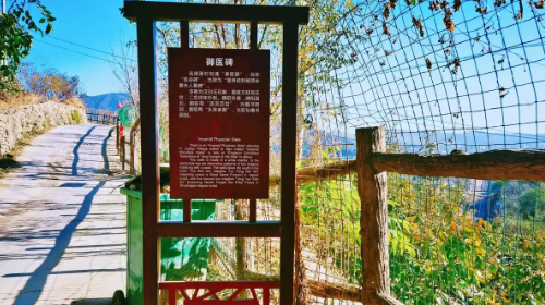 【北京一周一山·丑儿岭】早鸟优惠来袭丨山风清凉拂古道，琉璃光影映斜河涧丨京西铁路+斜河涧+丑儿岭+琉璃渠，一场穿越百年的京西寻幽之旅~