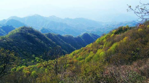【北京一周一山·易县摩天岭】早鸟优惠来袭丨云端漫步人间仙境易县摩天岭丨风吹云动群山起伏，在云雾缭绕中遇见山野的纯净~