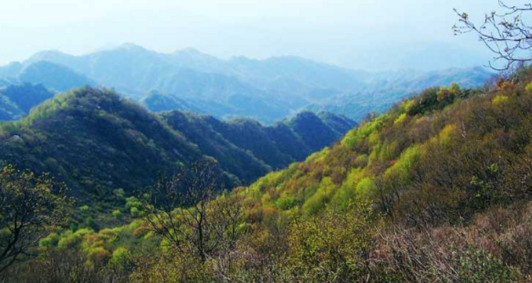 【北京一周一山·易县摩天岭】早鸟优惠来袭丨云端漫步人间仙境易县摩天岭丨风吹云动群山起伏，在云雾缭绕中遇见山野的纯净~