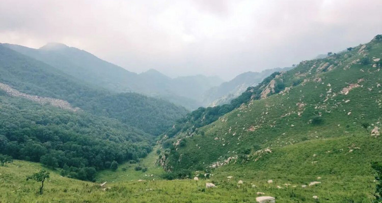 【北京一周一山·易县摩天岭】早鸟优惠来袭丨云端漫步人间仙境易县摩天岭丨风吹云动群山起伏，在云雾缭绕中遇见山野的纯净~