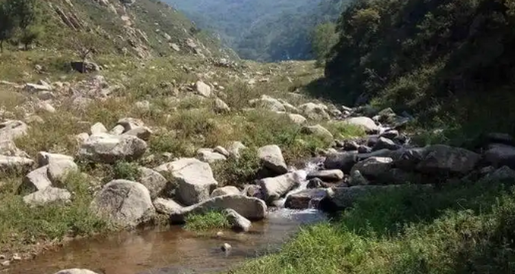 【北京一周一山·易县摩天岭】早鸟优惠来袭丨云端漫步人间仙境易县摩天岭丨风吹云动群山起伏，在云雾缭绕中遇见山野的纯净~