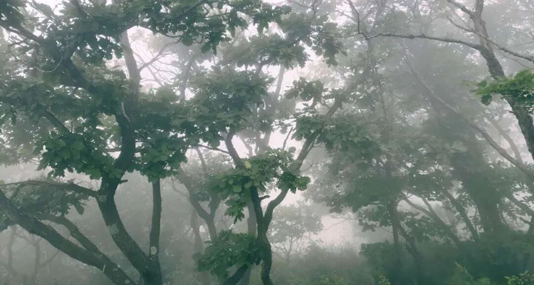 【北京一周一山·易县摩天岭】早鸟优惠来袭丨云端漫步人间仙境易县摩天岭丨风吹云动群山起伏，在云雾缭绕中遇见山野的纯净~