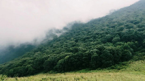 【北京一周一山·易县摩天岭】早鸟优惠来袭丨云端漫步人间仙境易县摩天岭丨风吹云动群山起伏，在云雾缭绕中遇见山野的纯净~
