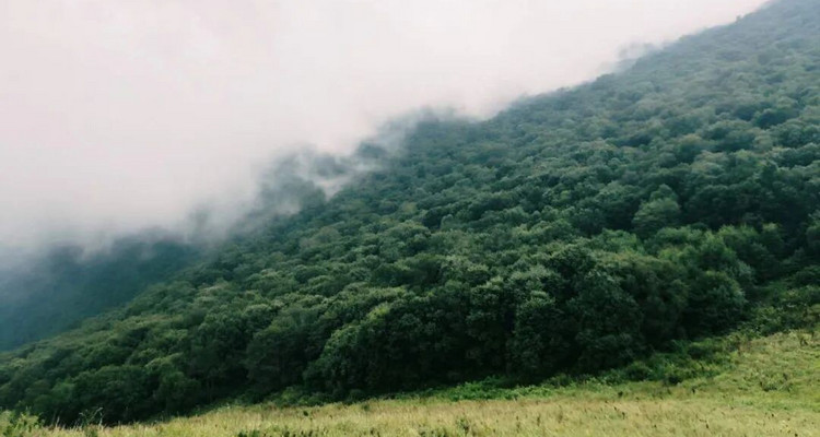 【北京一周一山·易县摩天岭】早鸟优惠来袭丨云端漫步人间仙境易县摩天岭丨风吹云动群山起伏，在云雾缭绕中遇见山野的纯净~