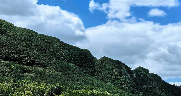 【北京一周一山·大寨最美梯田】早鸟优惠来袭丨3000亩绿野仙踪：邂逅漫画里的夏日梯田丨探秘房山“大地指纹”，俯瞰千层梯田~