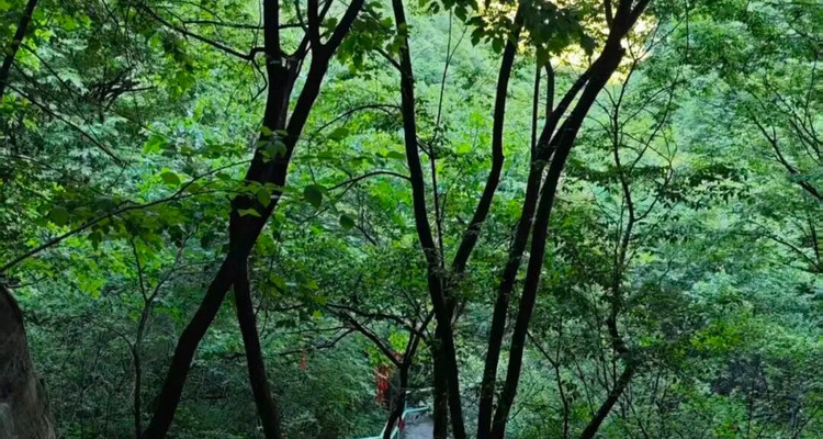 【北京一周一山·十渡山水】特价全含丨赠送特色农家大锅菜丨于孤山寨寻幽探胜徒步吸氧，在十渡漂流降温随波逐流~