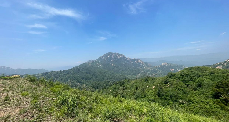 【北京一周一山·神木峡谷】避暑寻幽探胜，在遮天蔽日的绿意中，邂逅暮光之城般的森林，于潺潺溪水中感受山野清凉~