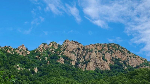 【北京一周一山·神木峡谷】避暑寻幽探胜，在遮天蔽日的绿意中，邂逅暮光之城般的森林，于潺潺溪水中感受山野清凉~