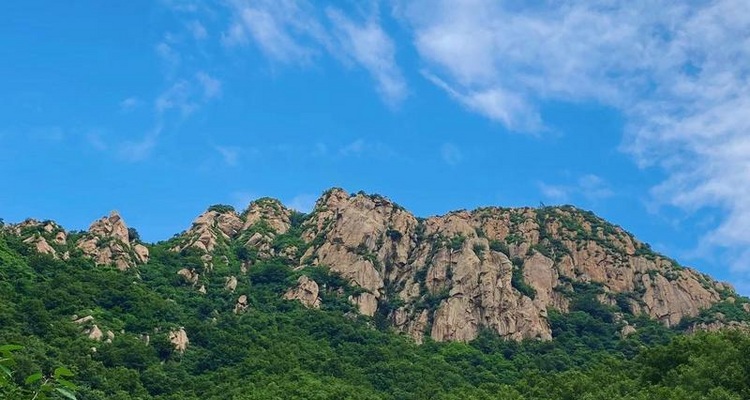 【北京一周一山·神木峡谷】避暑寻幽探胜，在遮天蔽日的绿意中，邂逅暮光之城般的森林，于潺潺溪水中感受山野清凉~