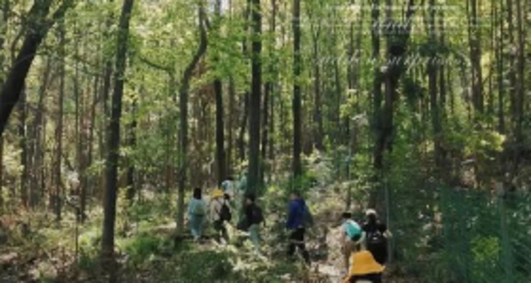 【北京一周一山·神木峡谷】避暑寻幽探胜，在遮天蔽日的绿意中，邂逅暮光之城般的森林，于潺潺溪水中感受山野清凉~