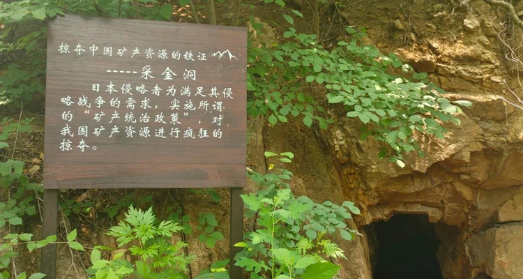 【北京一周一山·神木峡谷】避暑寻幽探胜，在遮天蔽日的绿意中，邂逅暮光之城般的森林，于潺潺溪水中感受山野清凉~