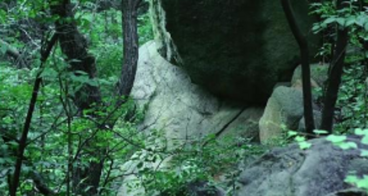 【北京一周一山·神木峡谷】避暑寻幽探胜，在遮天蔽日的绿意中，邂逅暮光之城般的森林，于潺潺溪水中感受山野清凉~