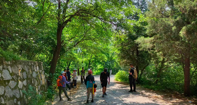 【北京一周一山·香八拉经典徒步】解锁京郊经典拉练线，一场关于山野的浪漫邂逅~