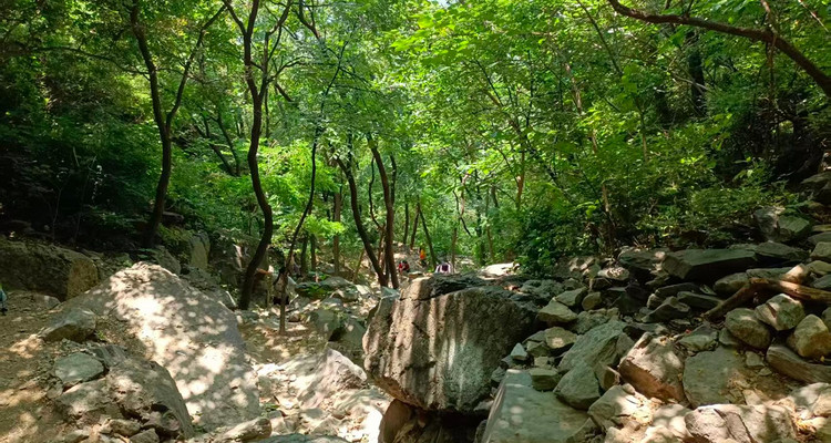 【北京一周一山·香八拉经典徒步】解锁京郊经典拉练线，一场关于山野的浪漫邂逅~