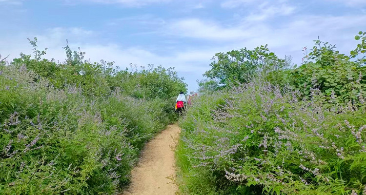 【北京一周一山·香八拉经典徒步】解锁京郊经典拉练线，一场关于山野的浪漫邂逅~