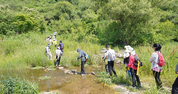 【北京一周一山·水泉沟】早鸟优惠来袭丨京郊山间野趣徒步：大云峡谷+龙泉峪+香屯+明长城遗迹+亲水溯溪一日穿越