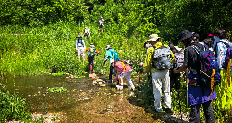 【北京一周一山·水泉沟】早鸟优惠来袭丨京郊山间野趣徒步：大云峡谷+龙泉峪+香屯+明长城遗迹+亲水溯溪一日穿越