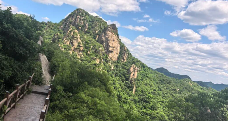 【北京一周一山·猕猴桃谷】把烦恼丢进山谷，找回内心的宁静：在猕猴桃谷的栈道上，邂逅山野间的清风与果香，遇见北京的夏日诗意~