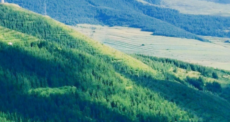 【北京一周一山·刀楞山】早鸟优惠来袭丨脚下是刀锋，眼前是苍穹丨探秘京北原始刀背山脊地质奇迹，在石头森林里寻找夏天的答案~