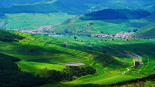 【北京一周一山·桦皮岭】被问爆的徒步路线：穿越林海与高山草甸，野花与白桦的浪漫，收集一整个夏天的绿意~