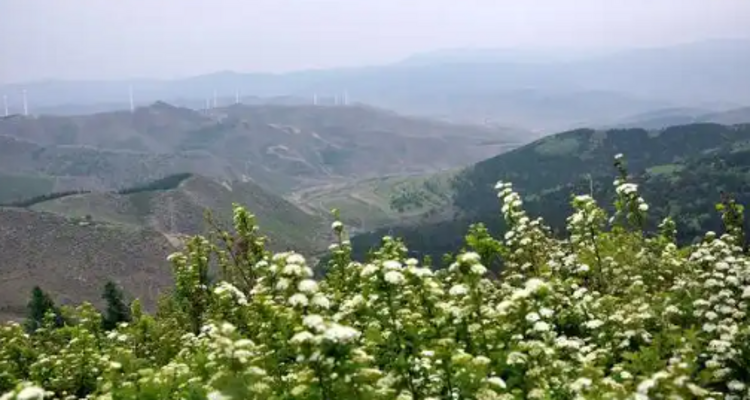 【北京一周一山·独石口长城】夏日寻幽独石口丨解锁独石口长城的极致原始风貌，感受古迹与山野的双重治愈~
