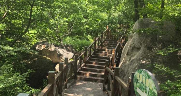 【北京一周一山·猕猴桃谷】把烦恼丢进山谷，找回内心的宁静：在猕猴桃谷的栈道上，邂逅山野间的清风与果香，遇见北京的夏日诗意~