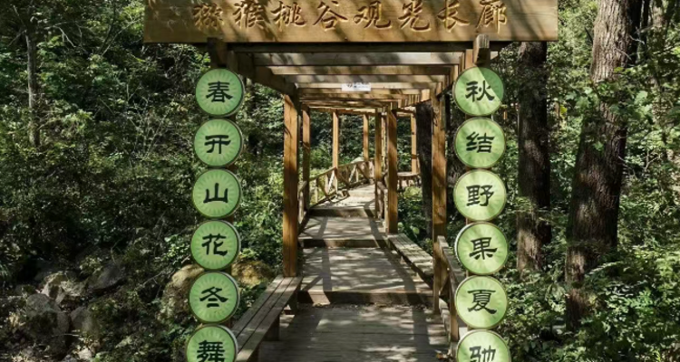 【北京一周一山·猕猴桃谷】把烦恼丢进山谷，找回内心的宁静：在猕猴桃谷的栈道上，邂逅山野间的清风与果香，遇见北京的夏日诗意~