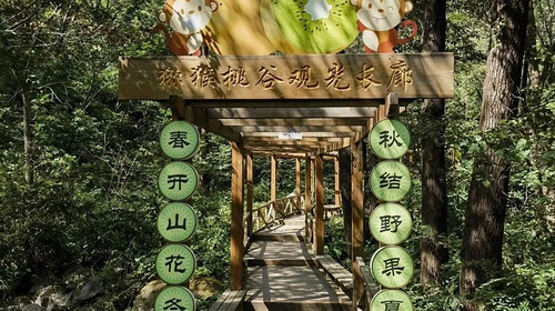 【北京一周一山·猕猴桃谷】把烦恼丢进山谷，找回内心的宁静：在猕猴桃谷的栈道上，邂逅山野间的清风与果香，遇见北京的夏日诗意~
