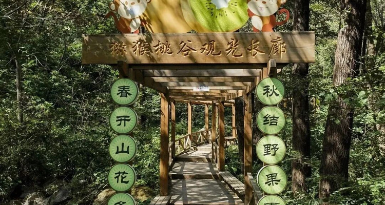 【北京一周一山·猕猴桃谷】把烦恼丢进山谷，找回内心的宁静：在猕猴桃谷的栈道上，邂逅山野间的清风与果香，遇见北京的夏日诗意~