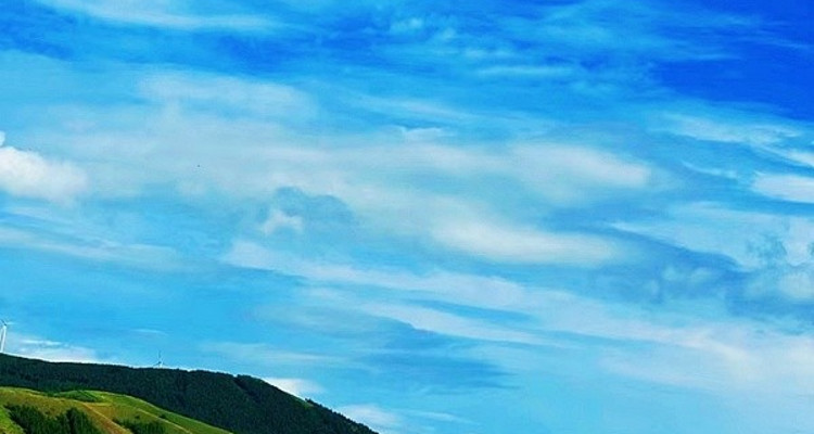 【北京一周一山·桦皮岭】被问爆的徒步路线：穿越林海与高山草甸，野花与白桦的浪漫，收集一整个夏天的绿意~