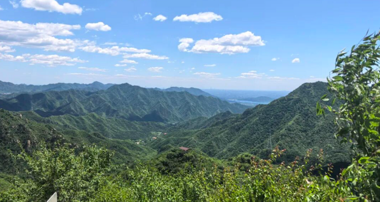 【北京一周一山·猕猴桃谷】把烦恼丢进山谷，找回内心的宁静：在猕猴桃谷的栈道上，邂逅山野间的清风与果香，遇见北京的夏日诗意~