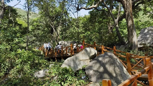 【北京一周一山·猕猴桃谷】把烦恼丢进山谷，找回内心的宁静：在猕猴桃谷的栈道上，邂逅山野间的清风与果香，遇见北京的夏日诗意~