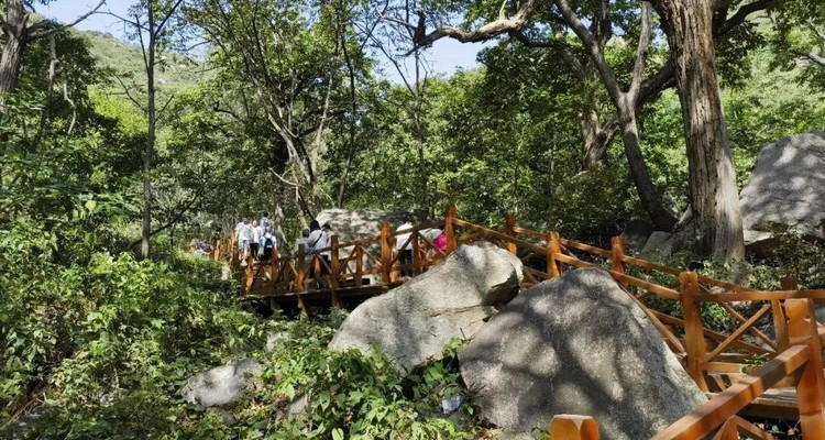 【北京一周一山·猕猴桃谷】把烦恼丢进山谷，找回内心的宁静：在猕猴桃谷的栈道上，邂逅山野间的清风与果香，遇见北京的夏日诗意~