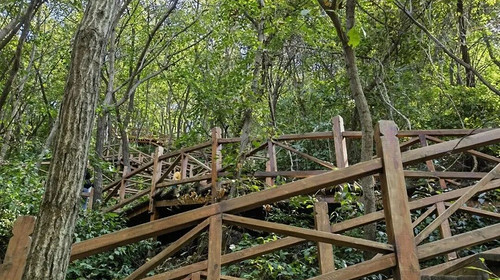 【北京一周一山·猕猴桃谷】把烦恼丢进山谷，找回内心的宁静：在猕猴桃谷的栈道上，邂逅山野间的清风与果香，遇见北京的夏日诗意~