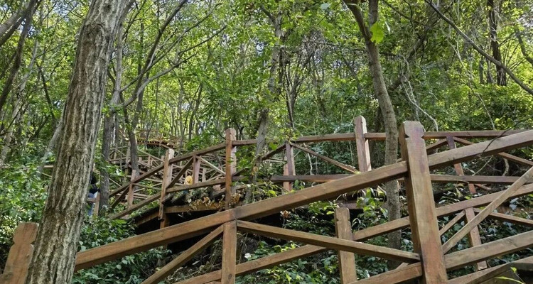 【北京一周一山·猕猴桃谷】把烦恼丢进山谷，找回内心的宁静：在猕猴桃谷的栈道上，邂逅山野间的清风与果香，遇见北京的夏日诗意~