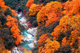 【行走光雾山·秦巴古道5日】汉中+十八月潭+光雾山+米仓山景区徒步+米仓古道桃园景区+陈仓古道云雾山徒步+28人品质徒步团