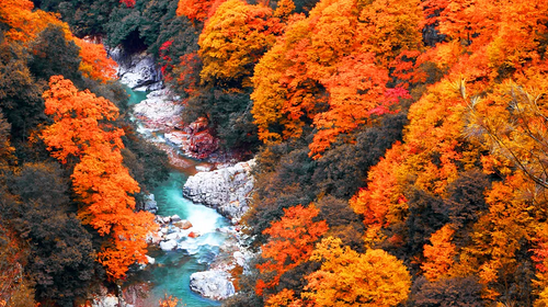【遇见光雾山·秦巴古道徒步5日】汉中+十八月潭+光雾山+米仓山景区徒步+米仓古道桃园景区+陈仓古道云雾山徒步+28人品质徒步团