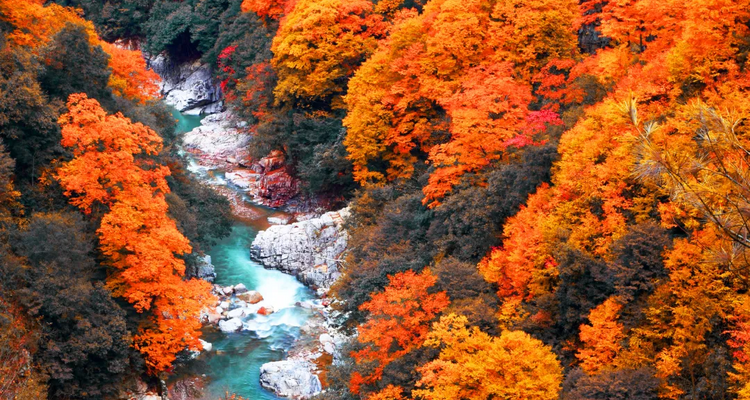 【行走光雾山·秦巴古道5日】汉中+十八月潭+光雾山+米仓山景区徒步+米仓古道桃园景区+陈仓古道云雾山徒步+28人品质徒步团