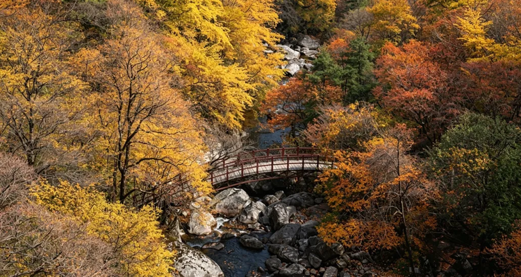 【行走光雾山·秦巴古道5日】汉中+十八月潭+光雾山+米仓山景区徒步+米仓古道桃园景区+陈仓古道云雾山徒步+28人品质徒步团
