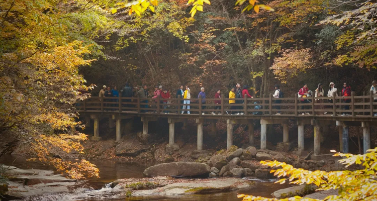 【行走光雾山·秦巴古道5日】汉中+十八月潭+光雾山+米仓山景区徒步+米仓古道桃园景区+陈仓古道云雾山徒步+28人品质徒步团