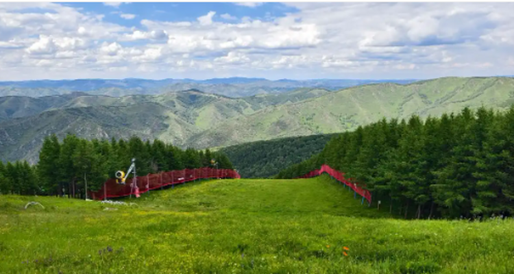 【北京一周一山·红花梁】夏日限定浪漫｜在红花梁云端草甸，收集夏日的风与野花，遇见宫崎骏的夏天~