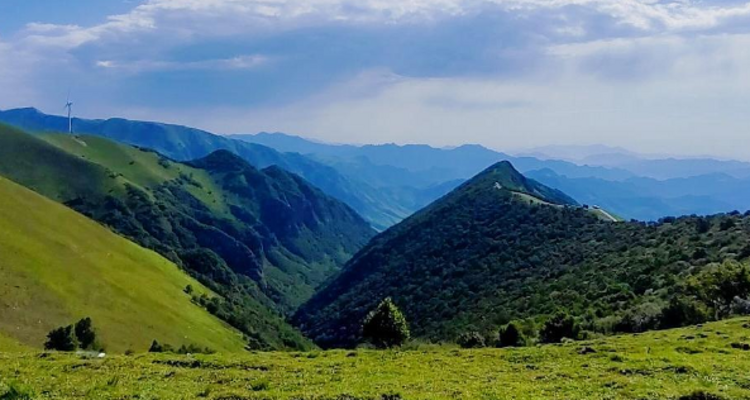 【北京一周一山·东甸子梁 】东甸子梁的夏日童话 | 打卡京西最美高山草甸，看风车、赏花海、避酷暑~